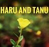 Haru Tanu's Blog